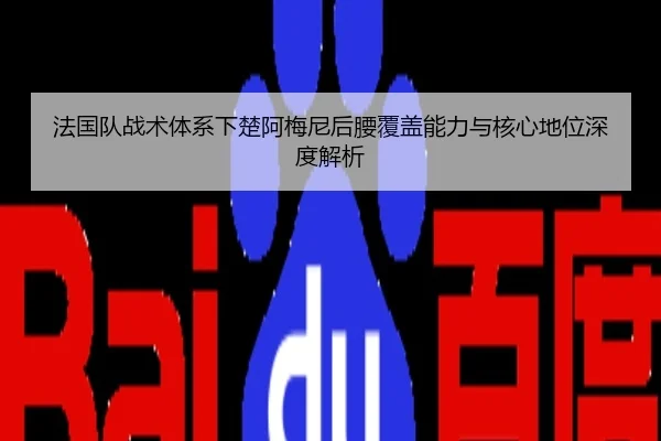 法国队战术体系下楚阿梅尼后腰覆盖能力与核心地位深度解析