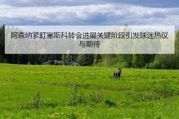 阿森纳紧盯塞斯科转会进展关键阶段引发球迷热议与期待